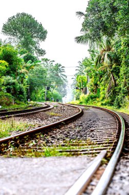 Ormanda çalışan bir sarma demiryolu. Sri Lanka.