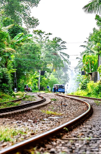 Железная Дорога Шри Ланке Идущая Через Джунгли — стоковое фото