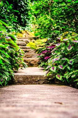 Çalılıkları çalışan taş adımları.