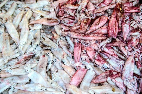 Calamar Blanco Rojo Fresco Mostrador Una Tienda Pescado Kalutara Sri —  Fotos de Stock