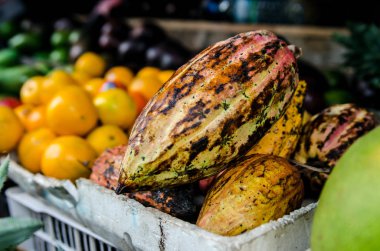 Portakal Sri Lanka'nın dükkanında arka plan üzerinde taze kakao çekirdekleri.