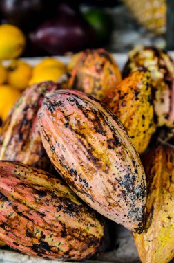 Meyve kakao içinde meyve deposu Sri Lanka.