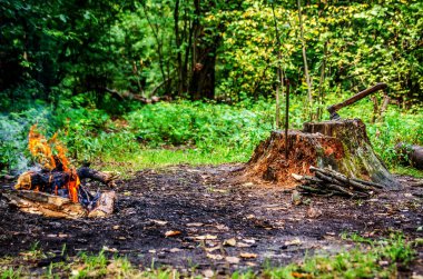 Çıtırtıları daha sık ormanın içinde. Yakınlarda bir güdük bir balta ile yaşlı bir ağaç üzerinden dışarı taşıyorsa. Güdük odun ile kaplıdır.