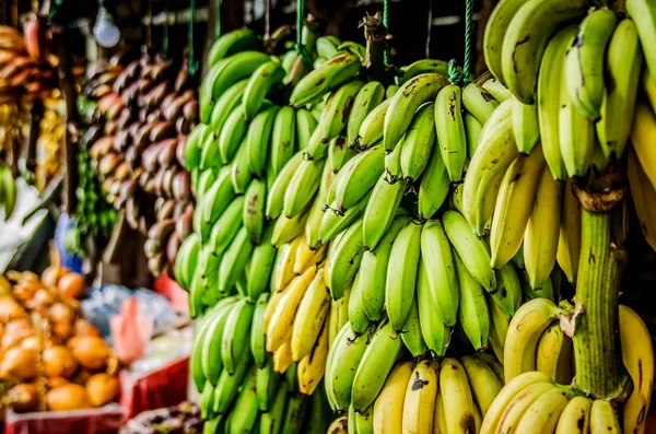 Bundles of yellow, green and red bananas in a fruit shop. Candy. Sri Lanka.