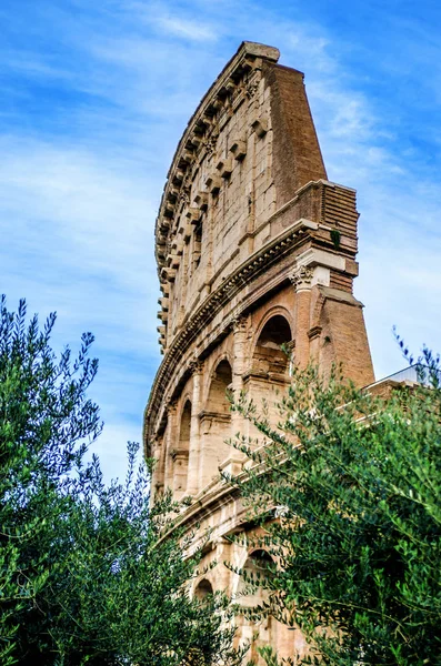 Una Veduta Dell Antico Colosseo Attraverso Gli Alberi Contro Cielo — Foto Stock
