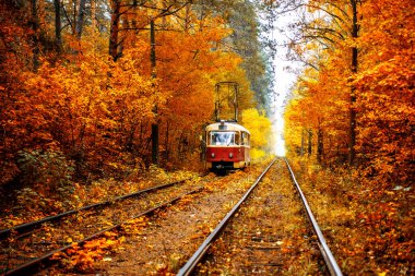 Kırmızı tramvay rayları Sonbahar Ormanı boyunca yarış.