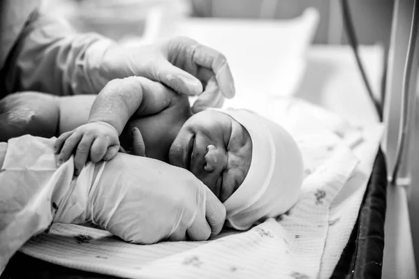 Obstetra Pone Sombrero Recién Nacido Después Del Parto —  Fotos de Stock