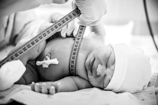 Младенец Измеряется После Рождения — стоковое фото