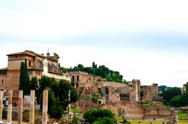 Roma Forumu görünümünü. Roma. İtalya.