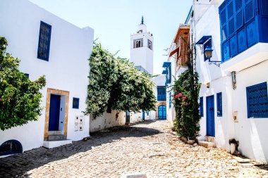 Mavi ve beyaz evler ve renkli çalılar ve ağaçlar ile güzel sokak. Sidi Bou Said. Tunus.