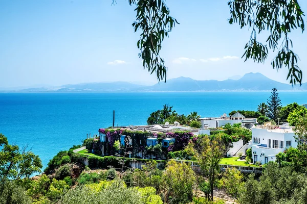 Beautiful House Covered Grapes Foliage Cliff Sea Sidi Bou Said — Stock Photo, Image