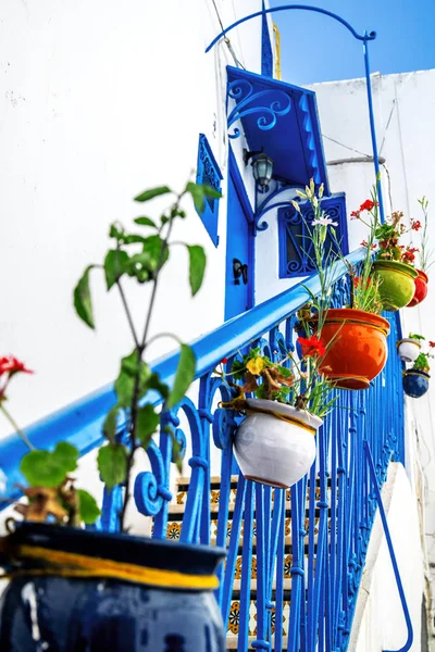 Pots Fleurs Ornant Escalier Bleu Menant Porte Maison Tunisie — Photo