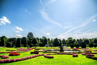 Schnbrunn Park yaz güneşinde çiçekler ile güzel bir glade. Viyana. Avusturya