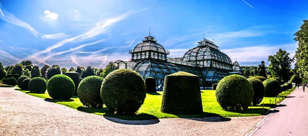 Panorama Över Växthuset Schnbrunn Park Wien Österrike Royaltyfria Stockbilder