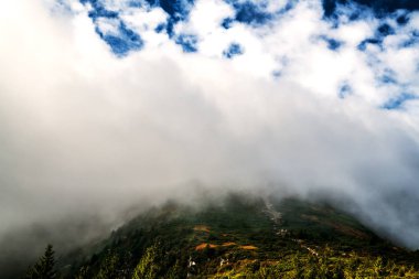 Hoverla 'nın tepesini yoğun sis kaplıyor. Karpatlar. Ukrayna.