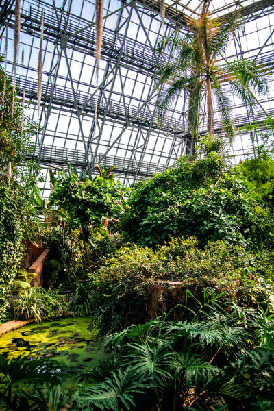 An exotic garden in the Kiev Botanical Garden. Ukraine
