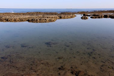 İsrail 'in kuzeyindeki Akdeniz' in kayalık kıyıları 