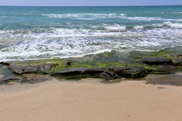 伊斯拉尔岛北部地中海的岩石海岸 — 图库照片