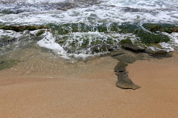 İsrail 'in kuzeyindeki Akdeniz' in kayalık kıyıları 