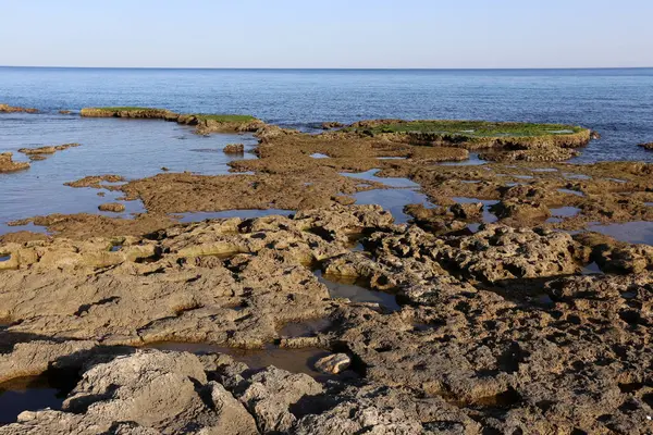 İsrail 'in kuzeyindeki Akdeniz' in kayalık kıyıları 