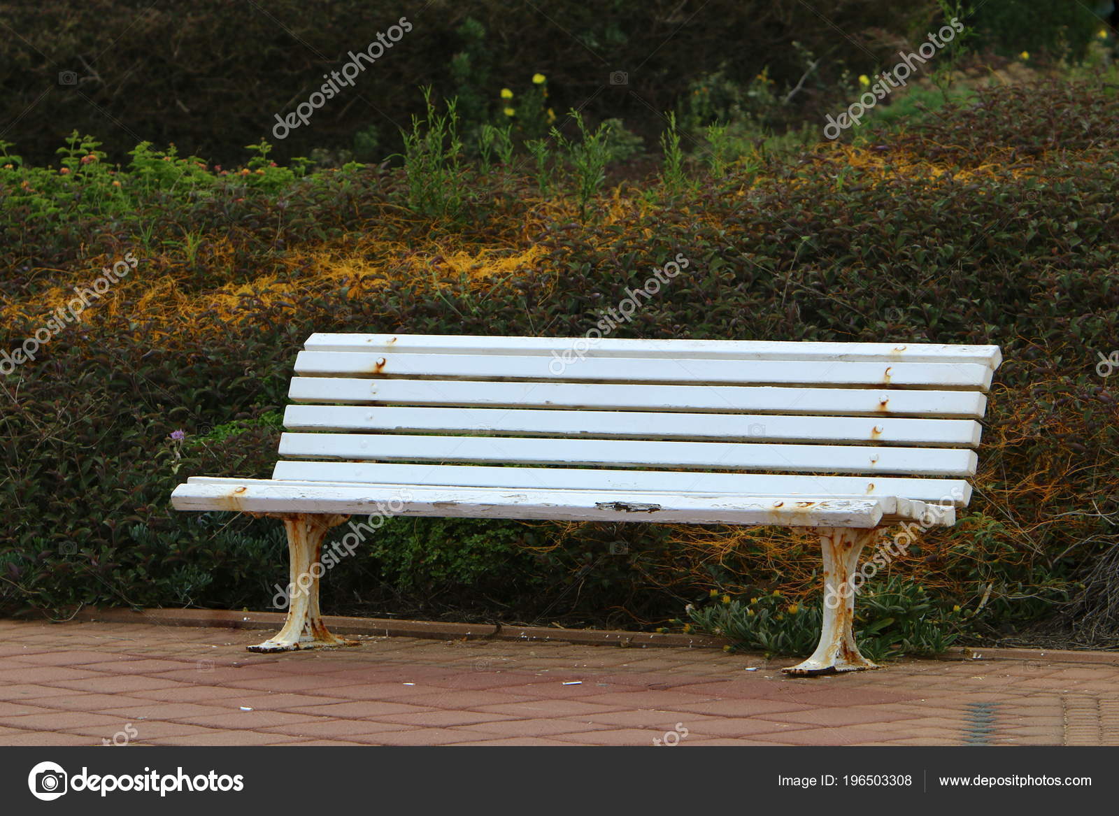 Bench Rest Stands Open Park Stock Photo C Shimonbar Mail Ru