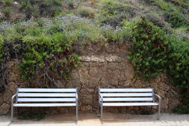 geri kalanı için bir Bank açık bir parkta duruyor 