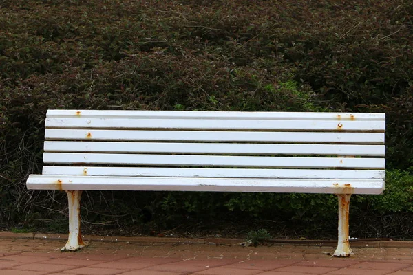 Een Bankje Voor Rest Staat Een Open Park — Stockfoto