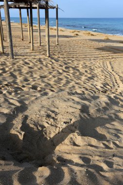 yumurta bırakırlar ve denize gitti bir kaplumbağa kum izleri 