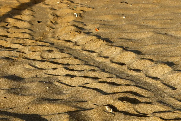 Sand Traces Turtle Which Laid Eggs Went Sea — Stock Photo, Image