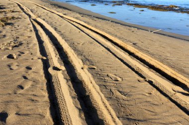 Kumdaki Kuzey İsrail ' Akdeniz'in kıyısında 