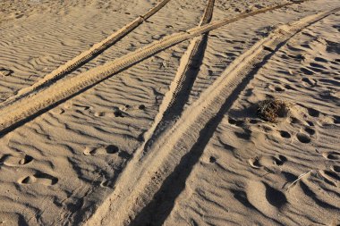 Kumdaki Kuzey İsrail ' Akdeniz'in kıyısında 