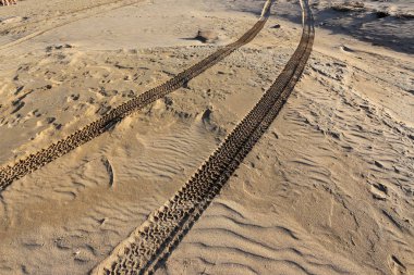 Kumdaki Kuzey İsrail ' Akdeniz'in kıyısında 