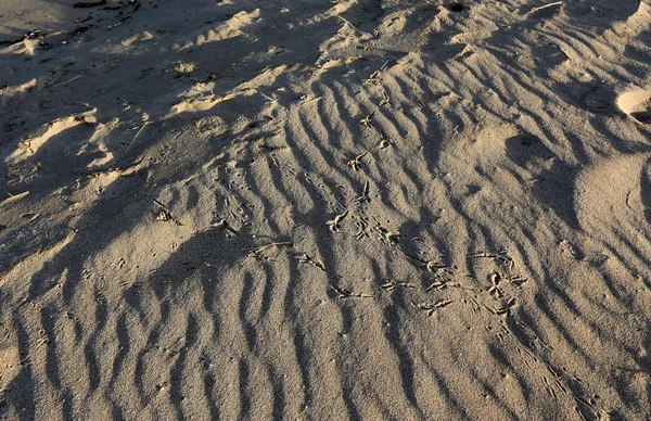 Fußabdrücke Sand Ufer Des Mittelmeeres Nordisrael — Stockfoto