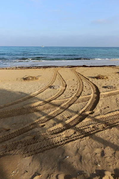 Kumdaki Kuzey İsrail ' Akdeniz'in kıyısında 