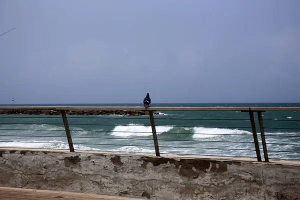 Забор Берегу Средиземного Моря Израиле — стоковое фото