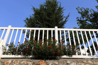 Beyaz plastik çit yüksek duvar 