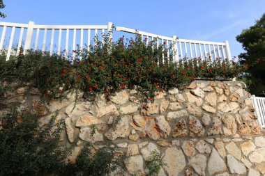 Beyaz plastik çit yüksek duvar 