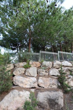 yüksek duvar beton ve demir yapıları 