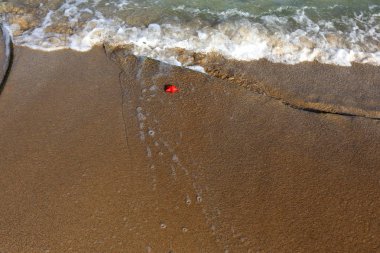 kumlu Akdeniz İsrail'in kuzey kıyısında 