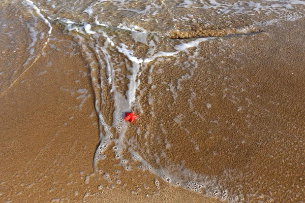 Riva Sabbiosa Del Mar Mediterraneo Nel Nord Israele — Foto Stock