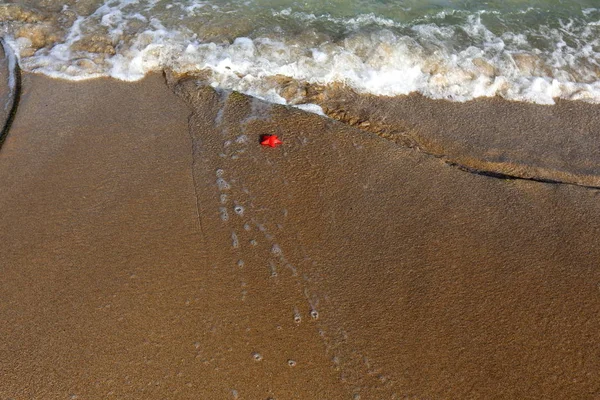 kumlu Akdeniz İsrail'in kuzey kıyısında 