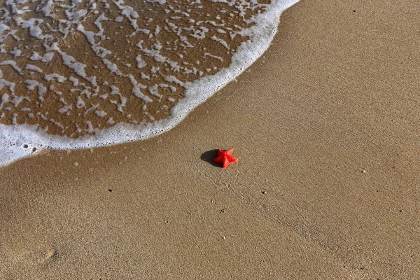 kumlu Akdeniz İsrail'in kuzey kıyısında 