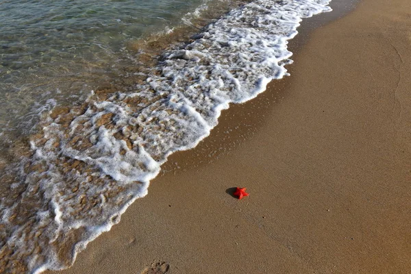 Sandy Shore Mediterranean Sea North Israel — Stock Photo, Image