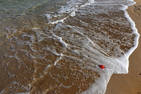地中海的沙岸在以色列北部 — 图库照片
