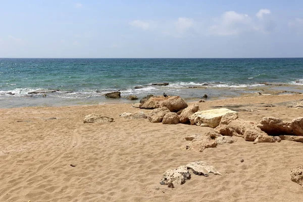イスラエル共和国の北の地中海の海岸の砂 — ストック写真