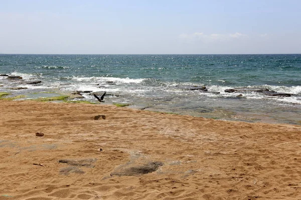 Sandy Shore Mediterranean Sea North Israel — Stock Photo, Image