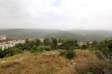 Doğa ve Kuzey İsrail closeup çiçeklenir 