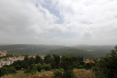 Doğa ve Kuzey İsrail closeup çiçeklenir 