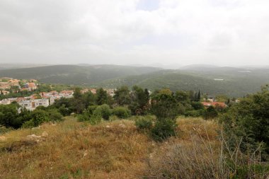 Doğa ve Kuzey İsrail closeup çiçeklenir 