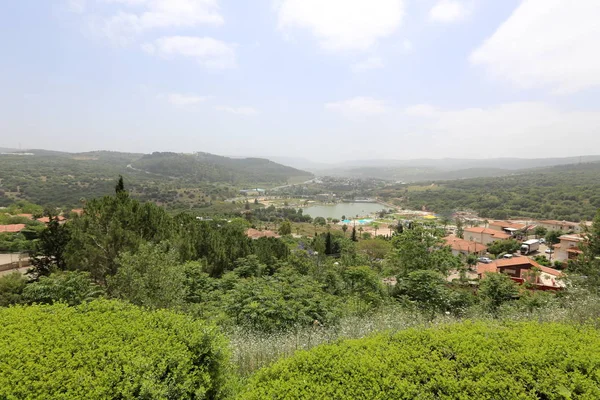 Nature Fleurs Dans Nord Israël Gros Plan — Photo